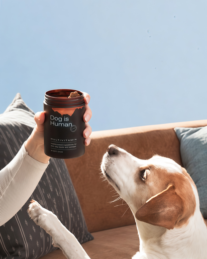 DM-01 Daily Multivitamin for Dogs, Human-Grade Multivitamin Soft Chews for Daily Nutritional Support, Chicken & Beef Flavors, 60 Soft Chews